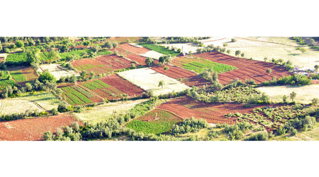 İşte PKK'nın para kaynağı - Resim: 4