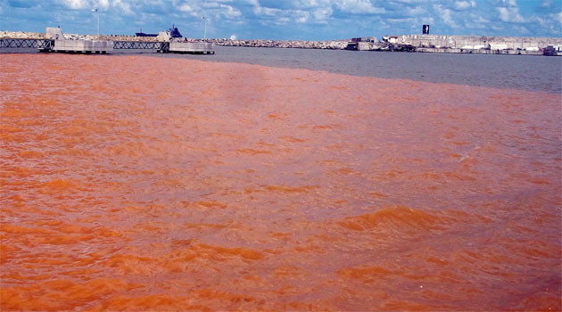 Karadeniz kan kırmızısı renge döndü - Resim: 3