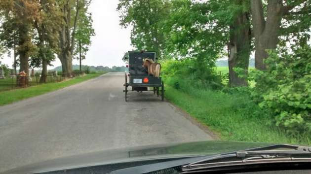 Günün en ilginç fotoğrafları - Resim: 2