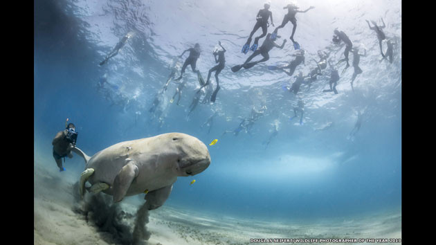 Vahşi yaşam fotoğrafları - Resim: 2