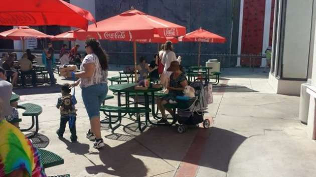 Günün en çok paylaşılan fotoğrafları - Resim: 2