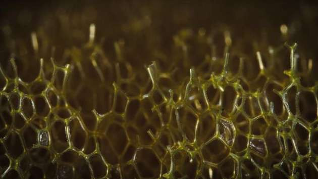 Her gün kullandığımız objelere yakından bakın - Resim: 3