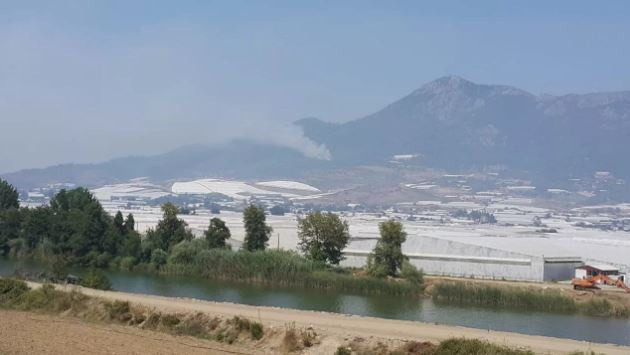 4 ilde peş peşe korkutan orman yangın! 3 ilden sevindiren haber geldi - Resim: 0