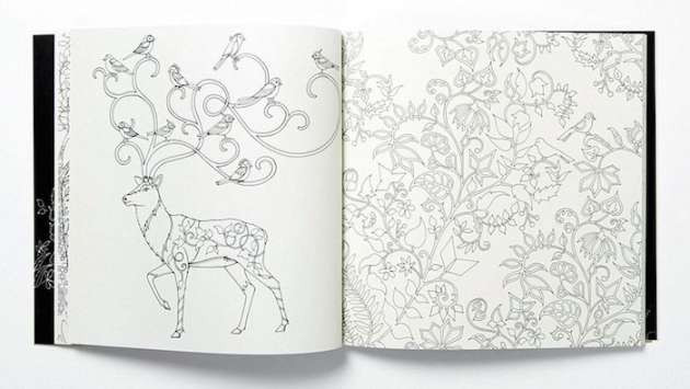 Büyüklere boyama kitabı yaptı 1 milyon sattı - Resim: 3