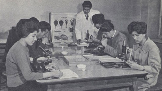 Bir zamanlar böyle bir ülkeydi şimdi ortalığı kan götürüyor - Resim: 3