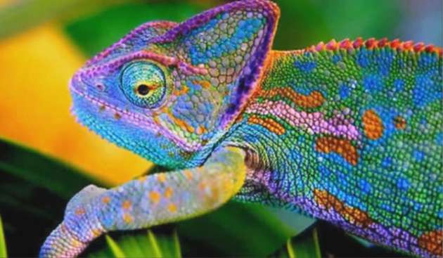 Doğru bildiğimiz yanlışlar - Resim: 3