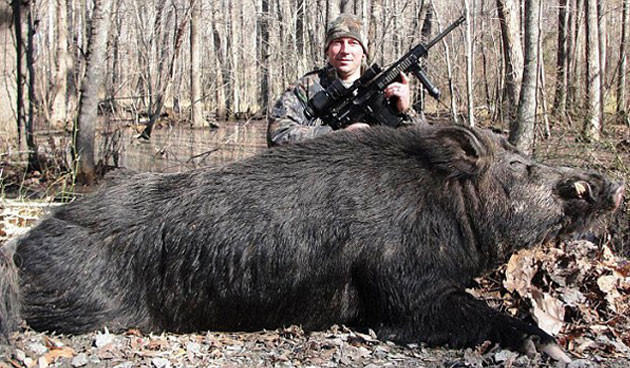 Vurduğu 226 kiloluk domuzla rekor kırdı - Resim: 1