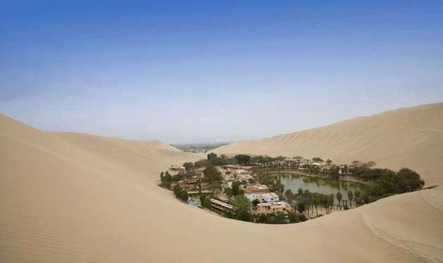 Çölün ortasında hayrete düşüren hayat - Resim: 1