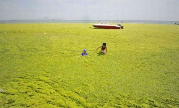 Sosyal medyanın fenomen kareleri - Resim: 3