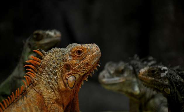 Burası Afrika değil Türkiye! - Resim: 3