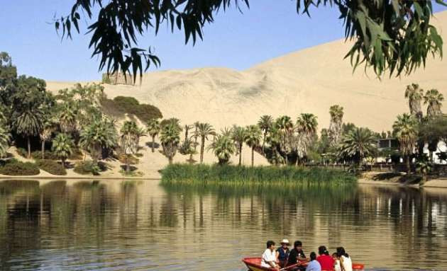 Çölün ortasında hayrete düşüren hayat - Resim: 2