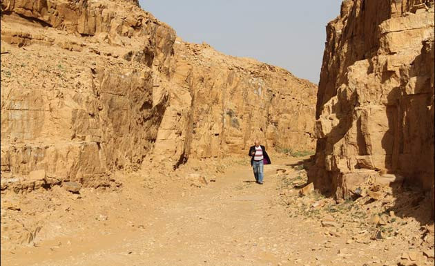 Osmanlı miraslarının envanterini çıkartıyor - Resim: 1