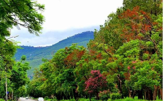 Dünya'da Atatürk'ün adının verildiği yerler - Resim: 3