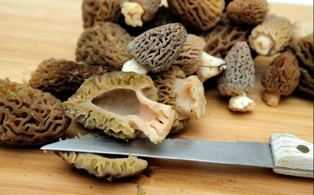 Fiyatı çeyrek altın kadar ama satmıyorlar - Resim: 4