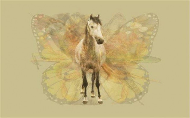 Fotoğrafta gördüğünüz ilk hayvan kişiliğinizi söylüyor - Resim: 3