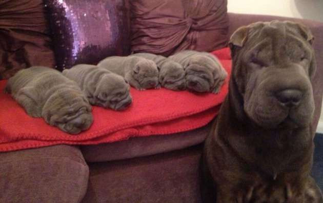 Günün Çarpıcı kareleri İran'ın öteki yüzünü gördünüz mü? - Resim: 3