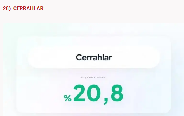 Bu meslekler boşanmanıza neden olabilir! Sağlık sektöründe çalışanlar... - Resim: 11