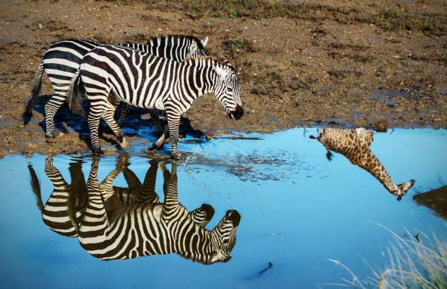 Burası Afrika değil Türkiye! - Resim: 1