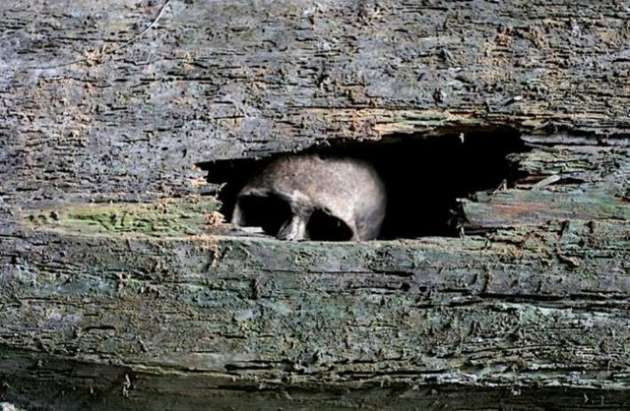 Bu kilisede 8 bin ceset var! - Resim: 3