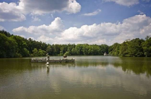 Çılgın milyoner bunu yaptı! - Resim: 4