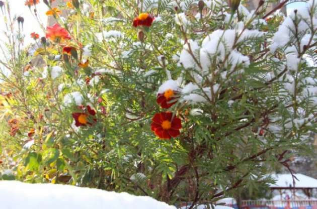 Yurtta kar manzaraları - Resim: 1