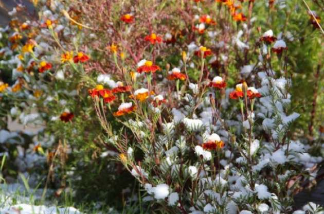 Yurtta kar manzaraları - Resim: 3