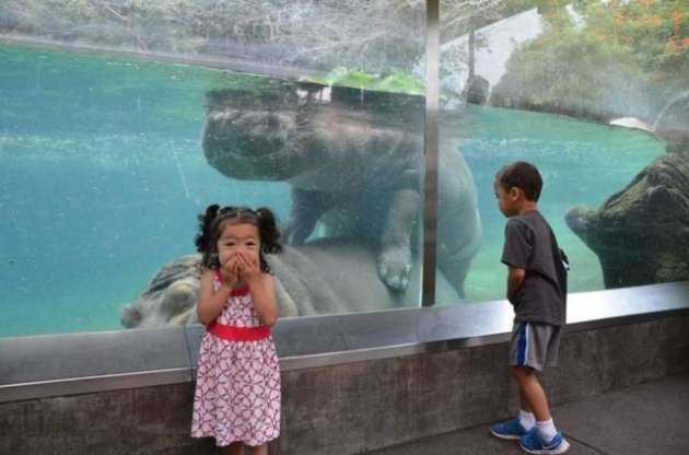 Günün en çarpıcı fotoğrafları - Resim: 2