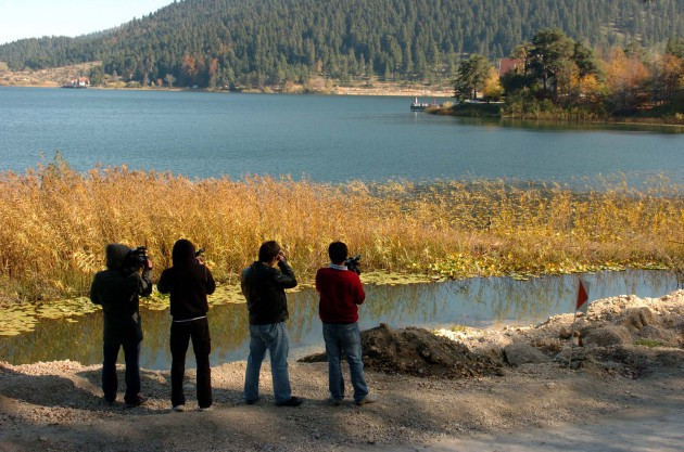 İşte Erdoğan'ın tatil yaptığı ev! - Resim: 4