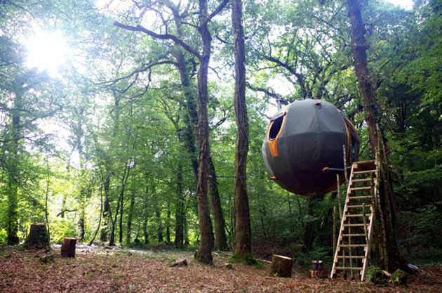 İngiltere'nin ilk agaç evi oteli büyük talep görüyor! - Resim: 1