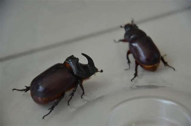 29 Haziran - 6 Temmuz tarihlerinde ne aradık - Resim: 4