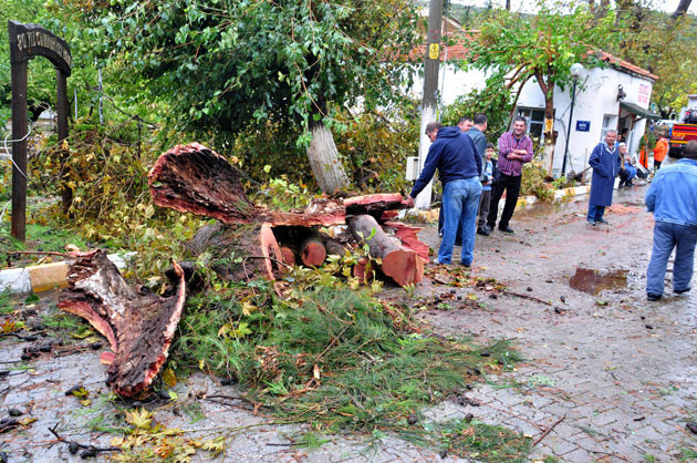 Muğla'da hortum zarara neden oldu - Resim: 1