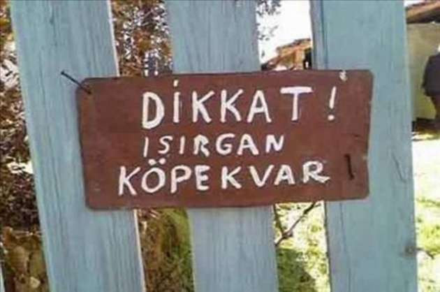 Türk insanının zekasına hayran kalacaksınız - Resim: 2