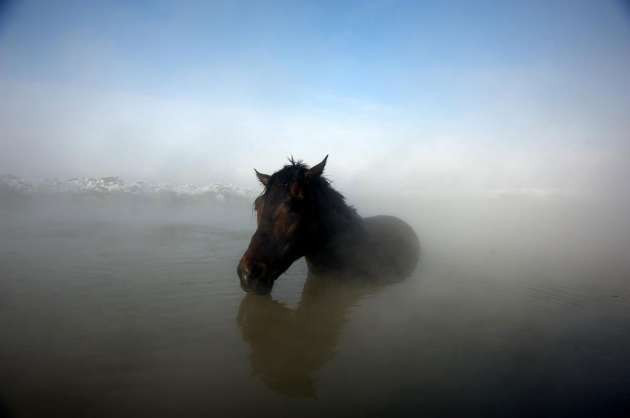 Kaplıcalara atlarıyla giren insanlar - Resim: 2