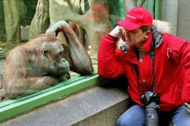 Haftanın en komik fotoğrafları - Resim: 2