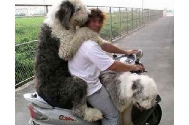 Haftanın en komik fotoğrafları - Resim: 3