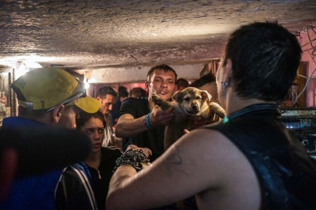 Kanalizasyonda yaşayanlar - Resim: 1