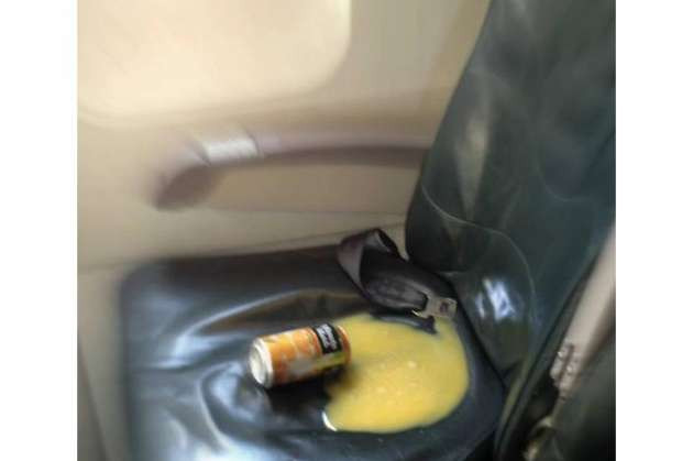 Uçakların en garip yolcuları - Resim: 4