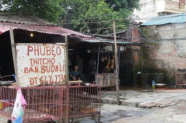 Bu köpeklerin etleri restorantlara dağıtılıyor - Resim: 3