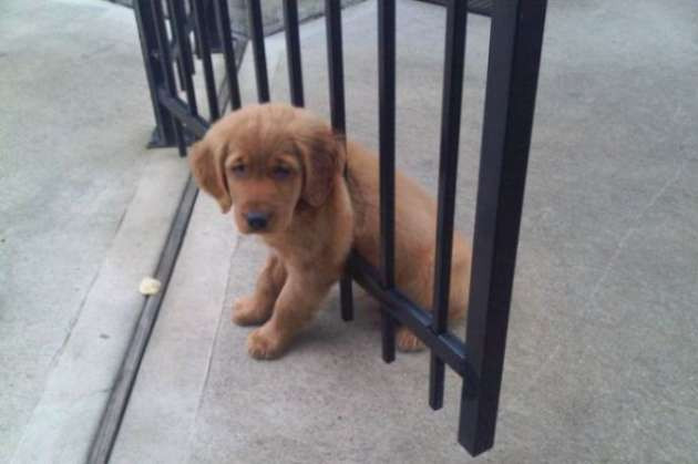 Günün en ilginç fotoğrafları - Resim: 2