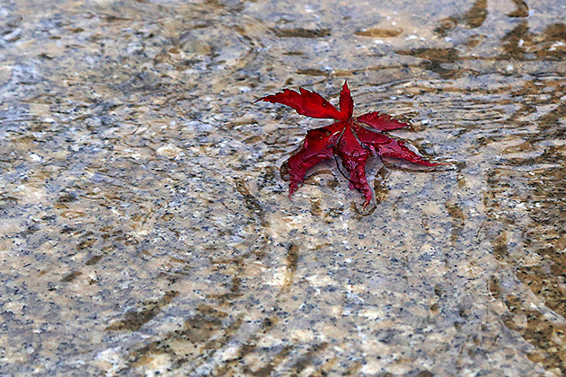 Ataşehir'de Sonbahar - Resim: 1