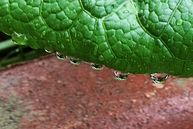 Ataşehir'de Sonbahar - Resim: 3