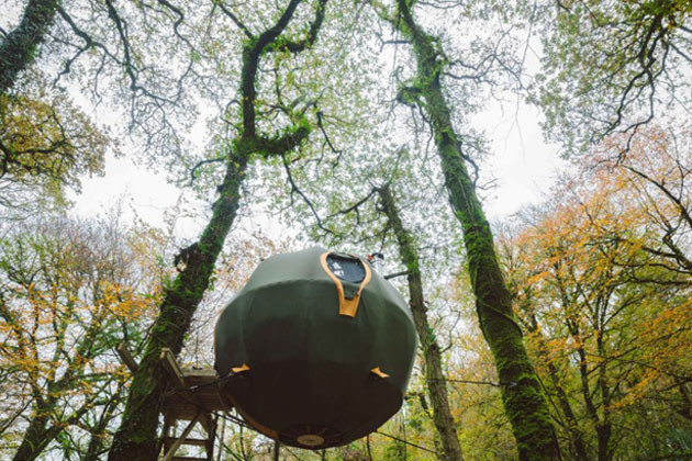 İngiltere'nin ilk agaç evi oteli büyük talep görüyor! - Resim: 2