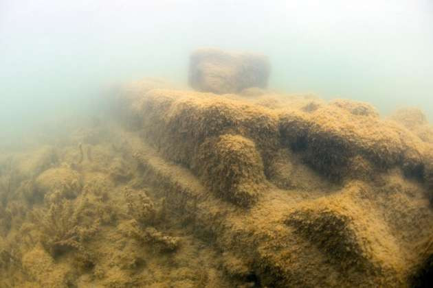 Yılın en önemli 10 keşfi arasına girdi! - Resim: 1