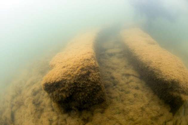 Yılın en önemli 10 keşfi arasına girdi! - Resim: 2