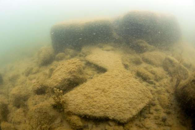 Yılın en önemli 10 keşfi arasına girdi! - Resim: 3
