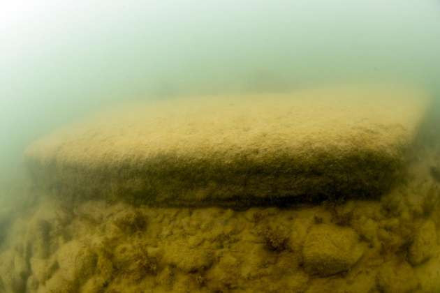 Yılın en önemli 10 keşfi arasına girdi! - Resim: 4