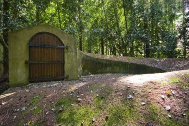 Çılgın milyoner bunu yaptı! - Resim: 2