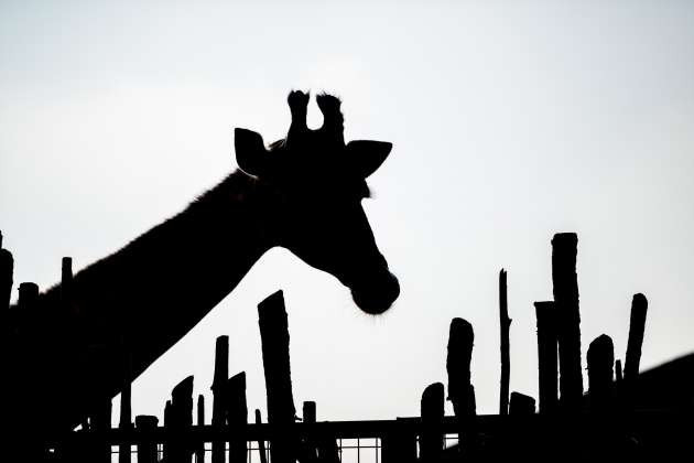 Burası Afrika değil Türkiye! - Resim: 4