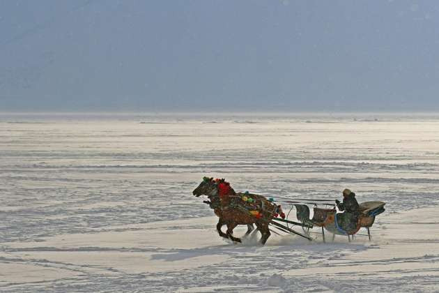Donan göl üzerinde atlı kızak şov - Resim: 2