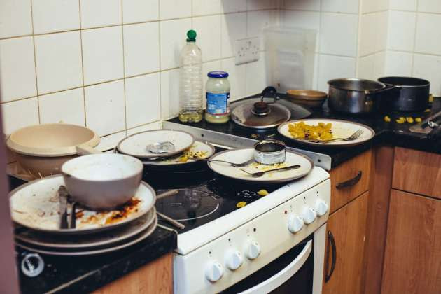 Yalnız yaşayan kadınların evleri - Resim: 3